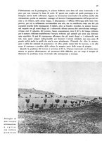 giornale/CFI0350904/1942/unico/00000445