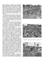 giornale/CFI0350904/1943/unico/00000015