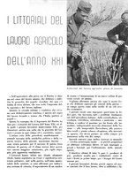 giornale/CFI0350904/1943/unico/00000017