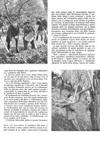giornale/CFI0350904/1943/unico/00000018