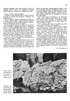 giornale/CFI0350904/1943/unico/00000031