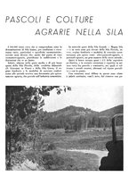 giornale/CFI0350904/1943/unico/00000032