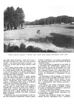 giornale/CFI0350904/1943/unico/00000033