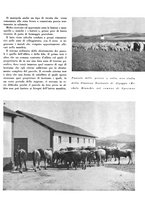 giornale/CFI0350904/1943/unico/00000035