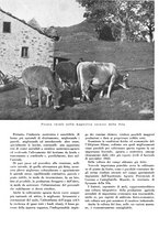 giornale/CFI0350904/1943/unico/00000036