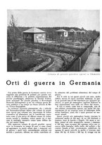 giornale/CFI0350904/1943/unico/00000038