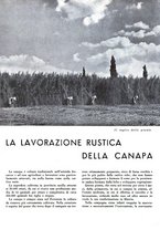 giornale/CFI0350904/1943/unico/00000055