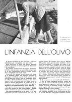 giornale/CFI0350904/1943/unico/00000060