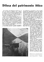 giornale/CFI0350904/1943/unico/00000076