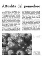 giornale/CFI0350904/1943/unico/00000092