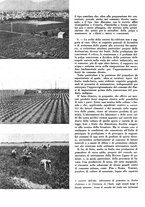 giornale/CFI0350904/1943/unico/00000094