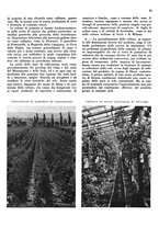 giornale/CFI0350904/1943/unico/00000095