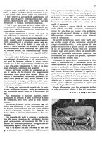 giornale/CFI0350904/1943/unico/00000099