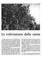 giornale/CFI0350904/1943/unico/00000104