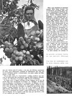 giornale/CFI0350904/1943/unico/00000134