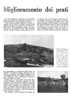 giornale/CFI0350904/1943/unico/00000136