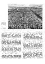 giornale/CFI0350904/1943/unico/00000151