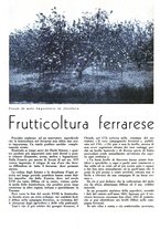 giornale/CFI0350904/1943/unico/00000214