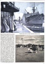 giornale/CFI0350951/1940-1941/unico/00000253