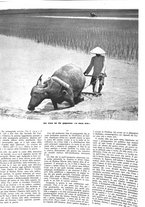 giornale/CFI0350951/1940-1941/unico/00000441