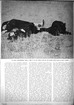 giornale/CFI0350951/1940-1941/unico/00000586