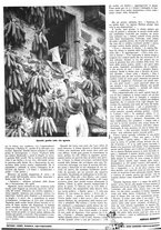 giornale/CFI0350951/1940-1941/unico/00000678