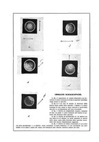 giornale/CFI0351018/1924/unico/00000073