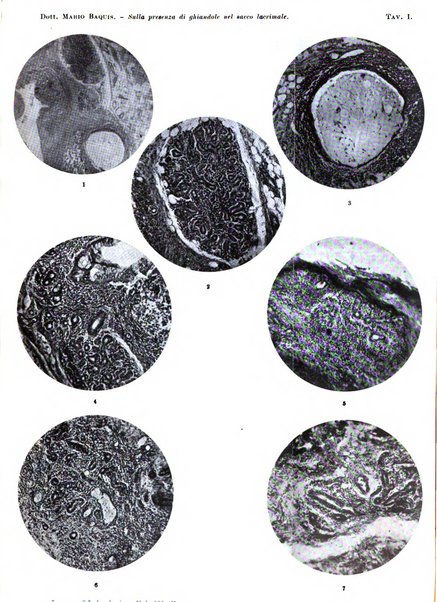 Lettura oftalmologica rivista mensile di oculistica pratica