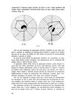 giornale/CFI0351018/1928/unico/00000024