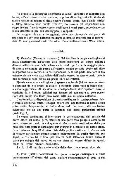 Lettura oftalmologica rivista mensile di oculistica pratica