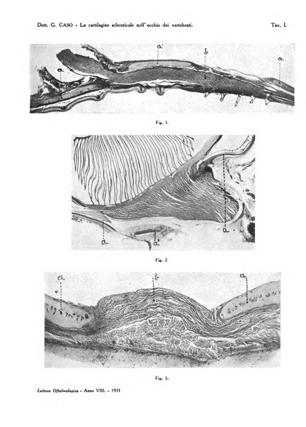 Lettura oftalmologica rivista mensile di oculistica pratica