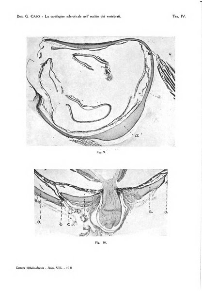 Lettura oftalmologica rivista mensile di oculistica pratica