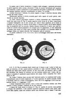 giornale/CFI0351018/1931/unico/00000471