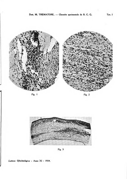 Lettura oftalmologica rivista mensile di oculistica pratica