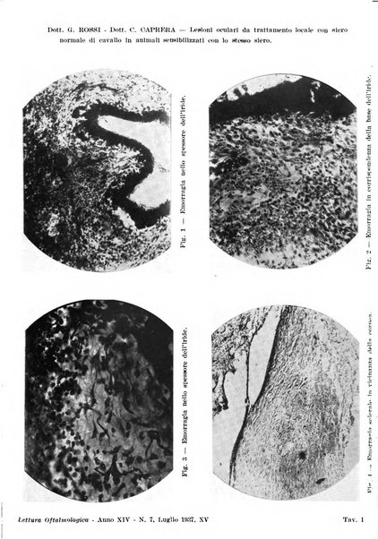 Lettura oftalmologica rivista mensile di oculistica pratica