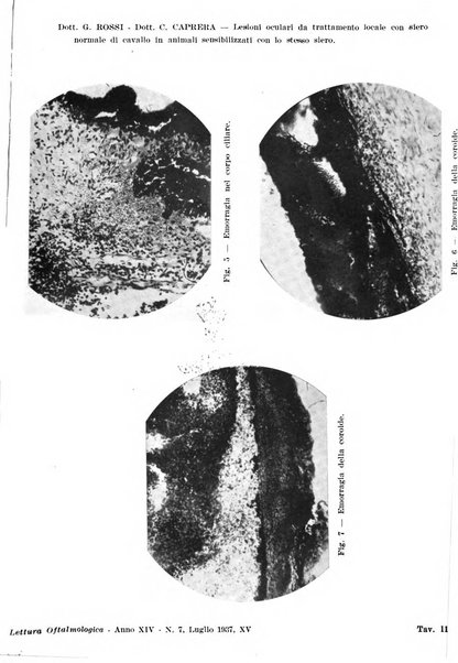 Lettura oftalmologica rivista mensile di oculistica pratica