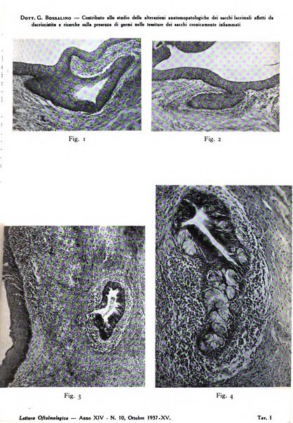 Lettura oftalmologica rivista mensile di oculistica pratica