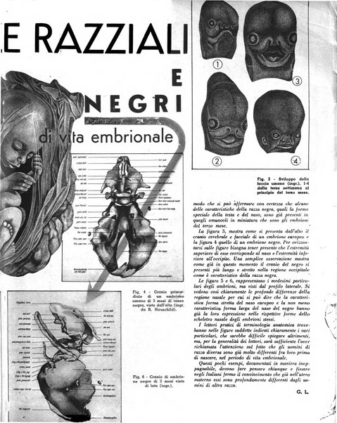 La difesa della razza scienza, documentazione, polemica