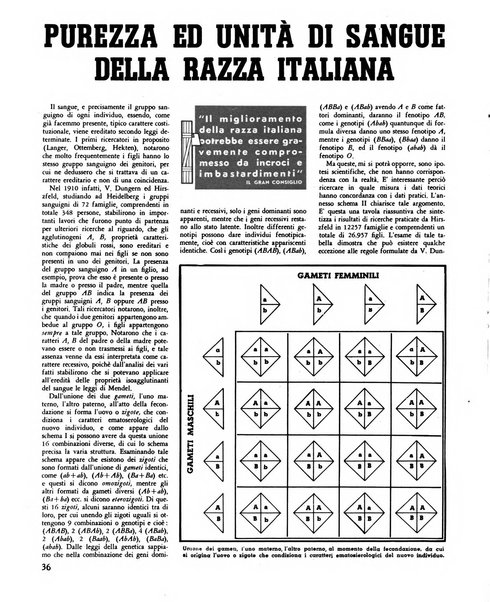 La difesa della razza scienza, documentazione, polemica