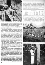 giornale/CFI0351533/1940-1941/unico/00000088