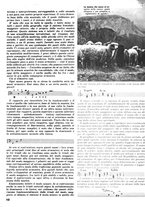 giornale/CFI0351533/1941-1942/unico/00000262