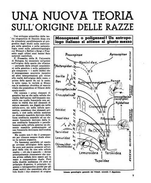 La difesa della razza scienza, documentazione, polemica