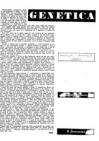 giornale/CFI0351533/1941-1942/unico/00000609