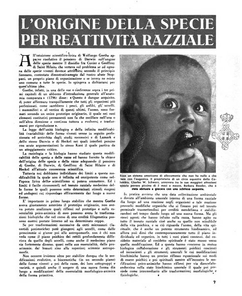 La difesa della razza scienza, documentazione, polemica