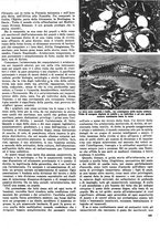 giornale/CFI0351533/1942-1943/unico/00000091