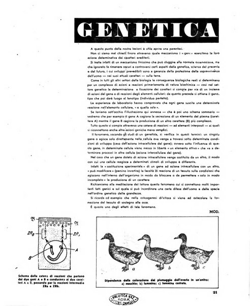 La difesa della razza scienza, documentazione, polemica