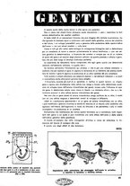 giornale/CFI0351533/1942-1943/unico/00000337