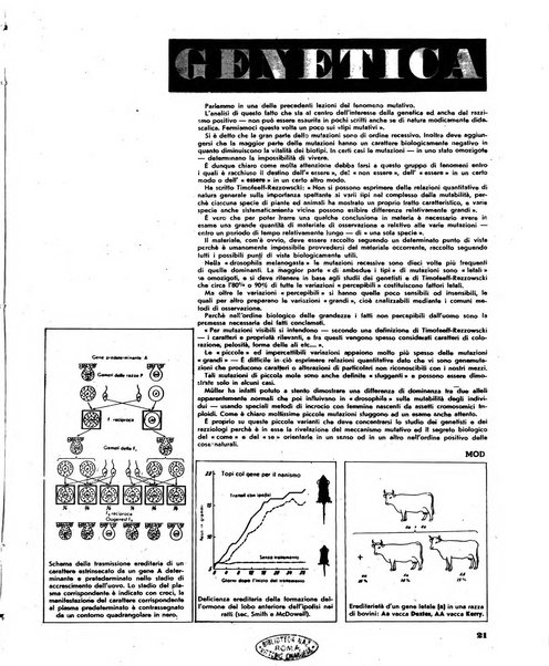 La difesa della razza scienza, documentazione, polemica