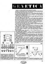 giornale/CFI0351533/1942-1943/unico/00000361