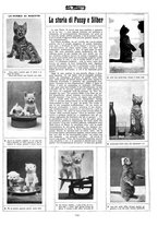 giornale/CFI0351902/1909/unico/00000081